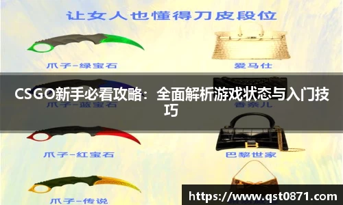 CSGO新手必看攻略：全面解析游戏状态与入门技巧